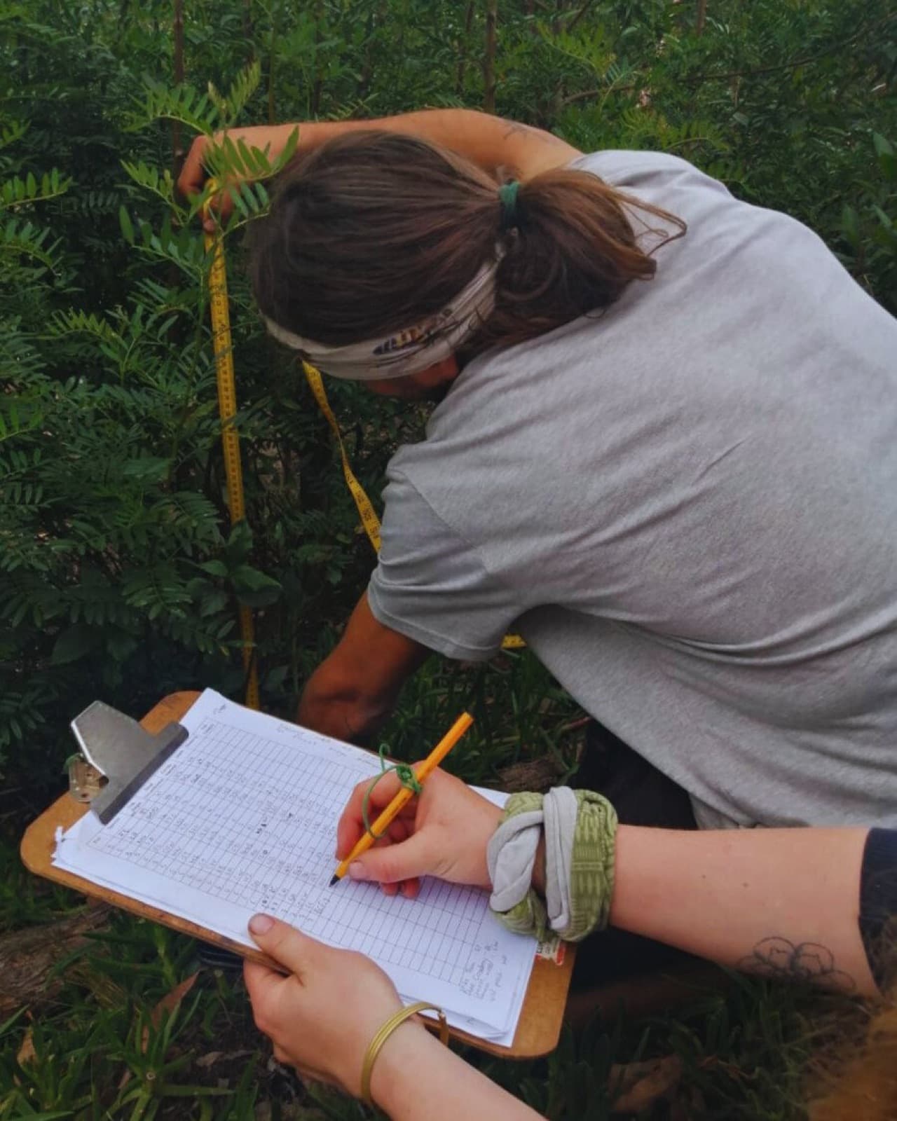 An ecologist recording field-survey data on a clipboard