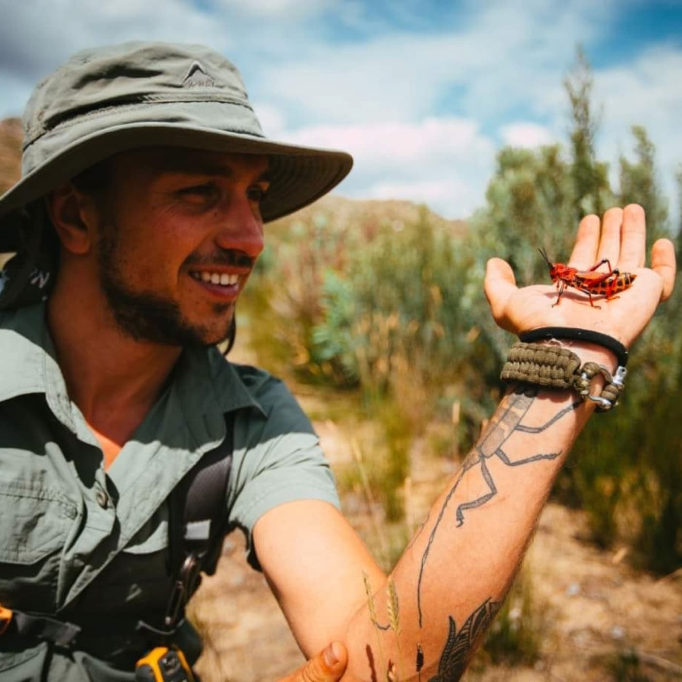 Aardwolf entomologist holding an insect during field work