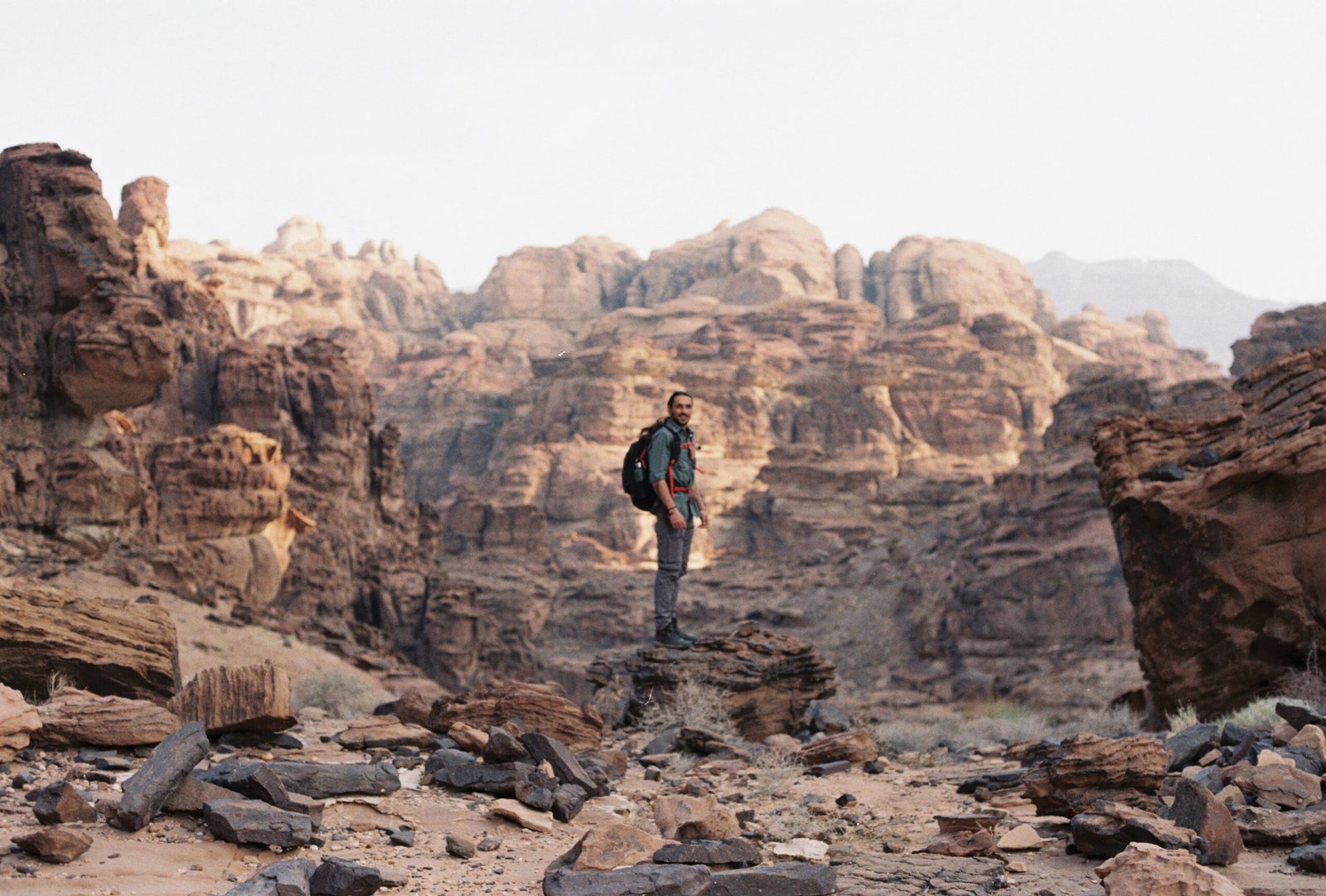 Entomological (Insect-Related) Consultations